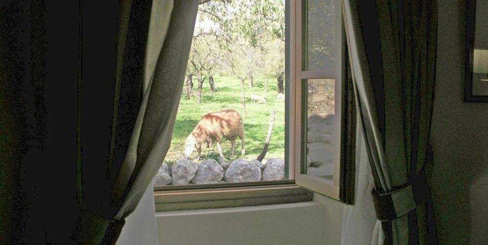 S'Hort De Cas Misser Boutique Hotel (Adults Only) Selva  Exteriér fotografie